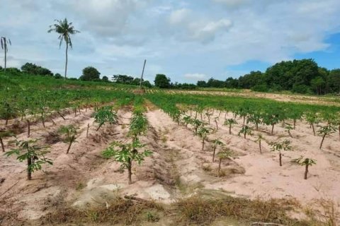 Земельный участок в Паттайе, Таиланд  № 133003 - фото 1