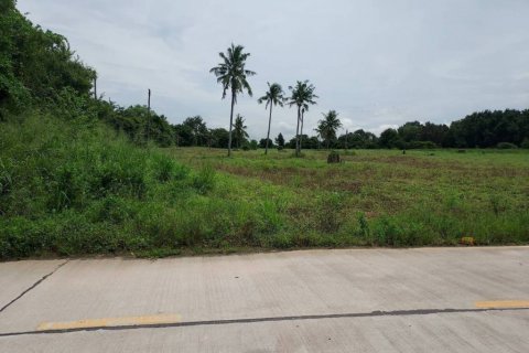 Земельный участок в Паттайе, Таиланд  № 133003 - фото 2