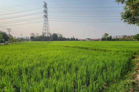 Земельный участок в Чиангмае, Таиланд № 126301 - фото 15