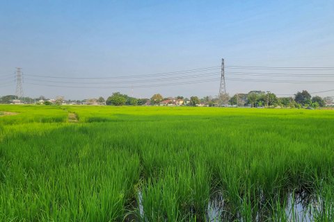 Land in Chiang Mai, Thailand № 126301 - photo 8