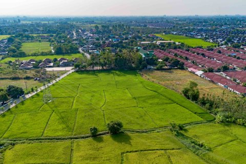 Terrain à Chiang Mai, Thaïlande № 126301 - photo 5