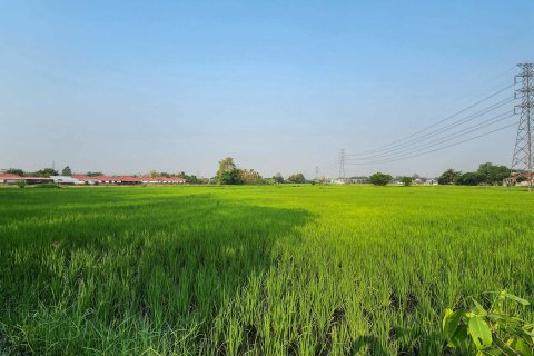 Land in Chiang Mai, Thailand № 126301 - photo 16