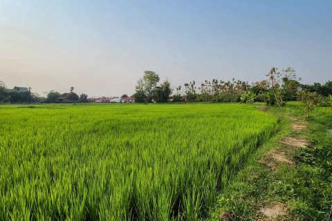 Земельный участок в Чиангмае, Таиланд № 126301 - фото 4