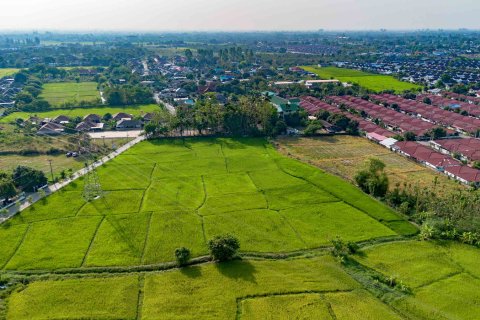 Land in Chiang Mai, Thailand № 126301 - photo 5