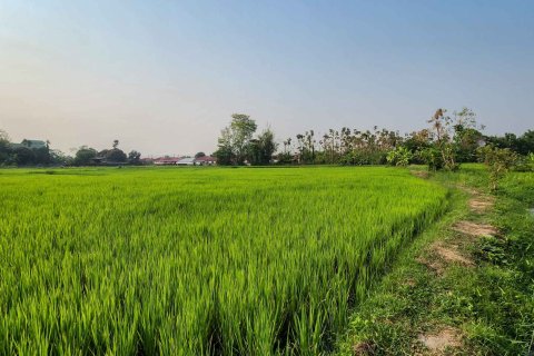 Land in Chiang Mai, Thailand № 126301 - photo 4