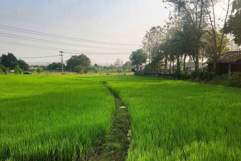 Land in Chiang Mai, Thailand № 126301 - photo 7