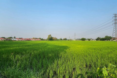 Land in Chiang Mai, Thailand № 126301 - photo 16