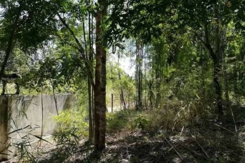 Земельный участок в Мае Танге, Таиланд № 116152 - фото 4