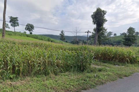 Земельный участок в Чианграе, Таиланд  № 116154 - фото 6