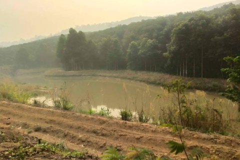 Земельный участок в Чианграе, Таиланд  № 116154 - фото 5