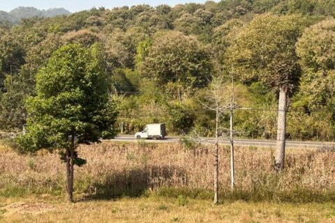 Земельный участок в Чианграе, Таиланд  № 116154 - фото 4