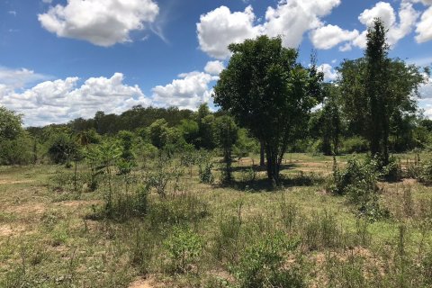 Terrain à Hua Hin, Thaïlande № 125276 - photo 2