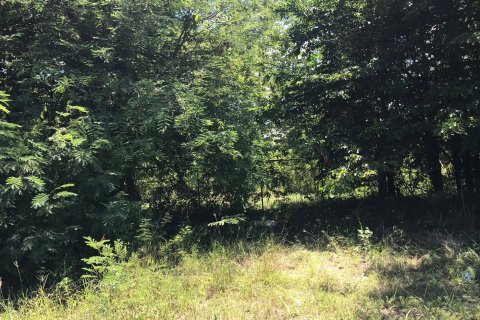 Terrain à Hua Hin, Thaïlande № 125276 - photo 7