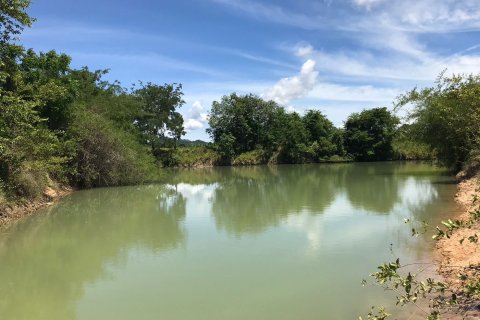 Terrain à Hua Hin, Thaïlande № 125276 - photo 6