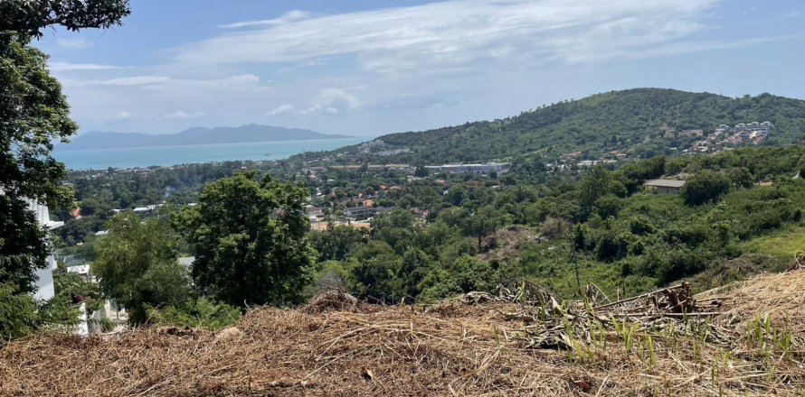 Land in Ko Samui, Thailand № 130044