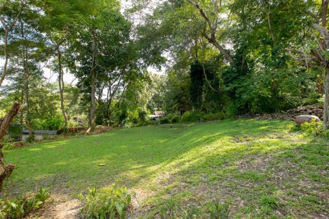 House in Chiang Mai, Thailand 3 bedrooms № 126306 - photo 24