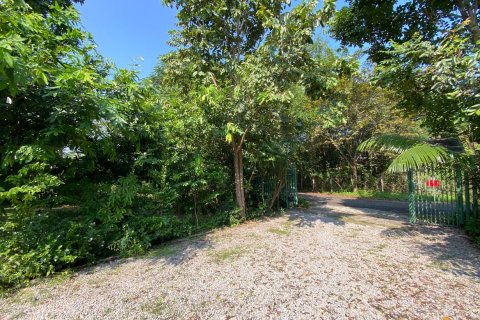 Дом в Чиангмае, Таиланд с 3 спальнями  № 104668 - фото 3