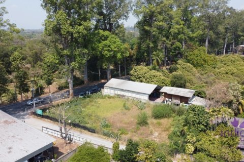 Земельный участок в Сарафи, Таиланд  № 124209 - фото 5