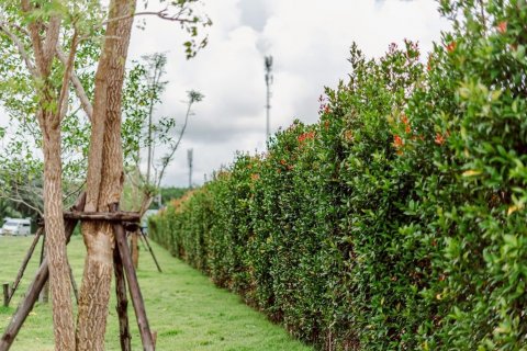 Вилла в Банг Тао, Таиланд с 5 комнатами  № 70744 - фото 8