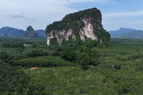 Land in Krabi, Thailand № 125784 - photo 1