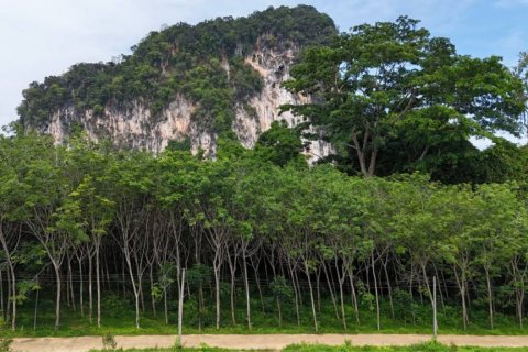 Land in Krabi, Thailand № 125784 - photo 6