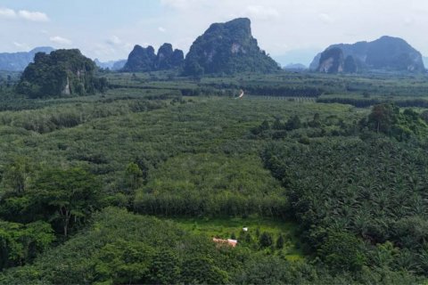 Land in Krabi, Thailand № 125784 - photo 3
