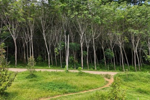 Land in Krabi, Thailand № 125784 - photo 7