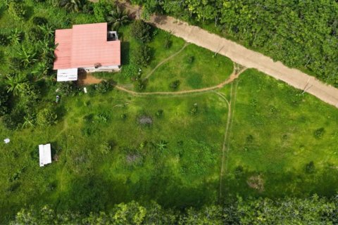 Land in Krabi, Thailand № 125784 - photo 4