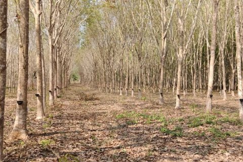 House in Klaeng, Thailand 3 bedrooms № 141946 - photo 6