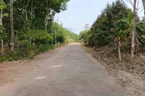 House in Klaeng, Thailand 3 bedrooms № 141946 - photo 7