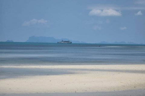 Земельный участок в Самуи, Таиланд  № 132713 - фото 5
