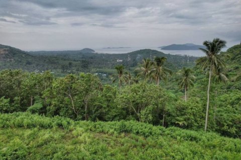 Земельный участок в Самуи, Таиланд  № 124782 - фото 5