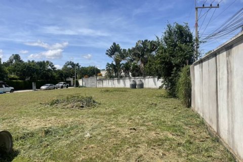 Земельный участок в Банг Ламунге, Таиланд  № 132851 - фото 6