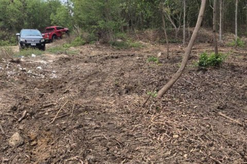 Terrain à Pattaya, Thaïlande № 132855 - photo 3