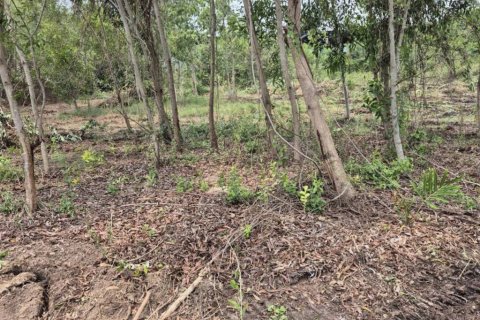 Terrain à Pattaya, Thaïlande № 132855 - photo 6