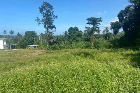 Land in Ko Samui, Thailand № 86243 - photo 2