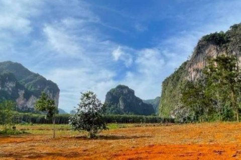 Land in Krabi, Thailand № 132742 - photo 1