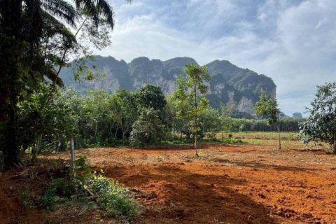 Land in Krabi, Thailand № 132742 - photo 2