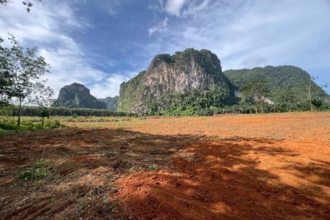 Land in Krabi, Thailand № 132742 - photo 3