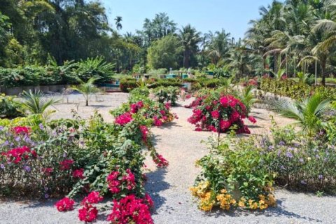 Land in Krabi, Thailand № 124804 - photo 7