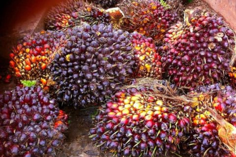 Land in Krabi, Thailand № 124804 - photo 9