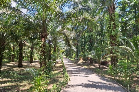 Land in Krabi, Thailand № 124804 - photo 1