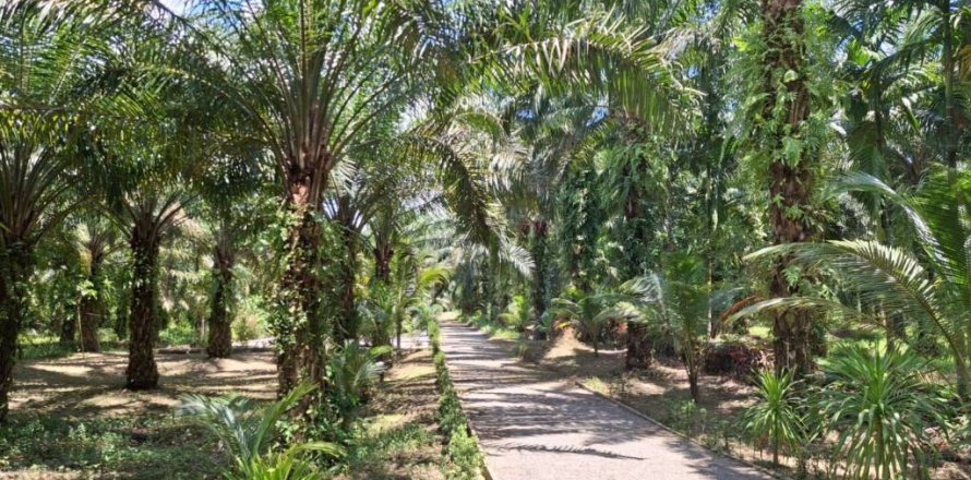 Land in Krabi, Thailand № 124804