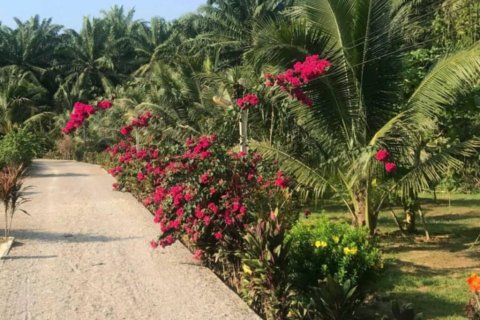 Land in Krabi, Thailand № 124804 - photo 5