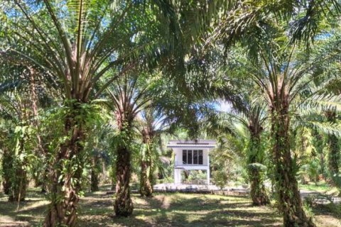 Land in Krabi, Thailand № 124804 - photo 2