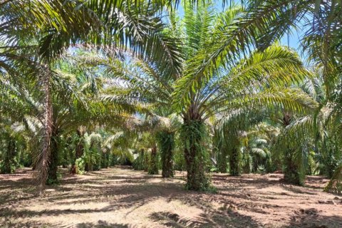 Дом в Краби, Таиланд с 2 спальнями  № 124806 - фото 8