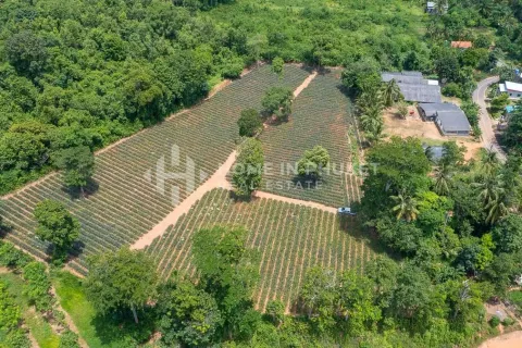 Земельный участок в Май Кхао, Таиланд  № 131017 - фото 5