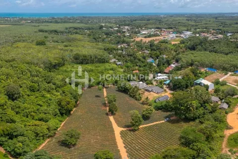 Земельный участок в Май Кхао, Таиланд  № 131017 - фото 7