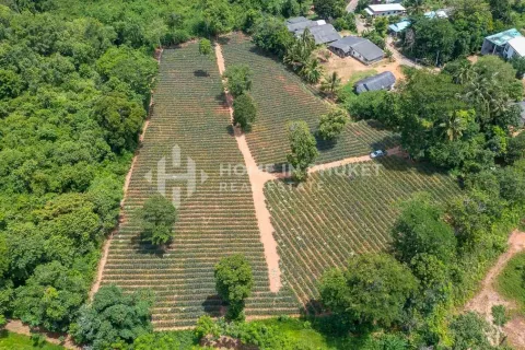 Земельный участок в Май Кхао, Таиланд  № 131017 - фото 6