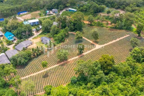 Земельный участок в Май Кхао, Таиланд  № 131017 - фото 1